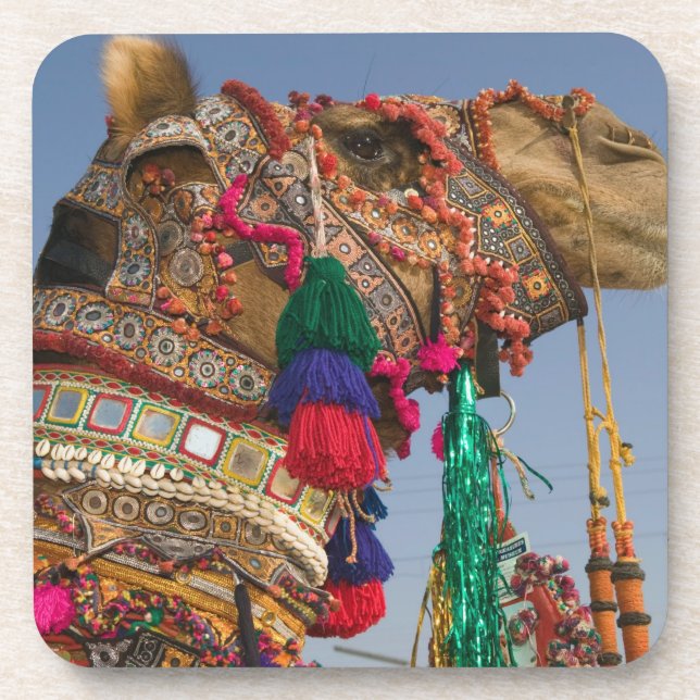 Posavasos INDIA, Rajasthan, Pushkar: FERIA DE CAMELOS DE PUS (Frente)