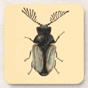 Posavasos Insect Lover Art: Escarabajo de Guay