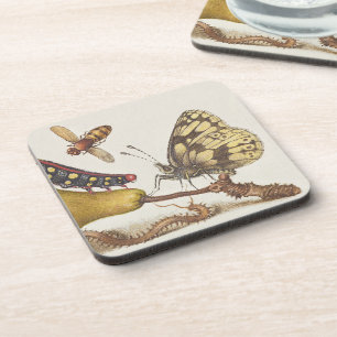 Posavasos Insectos de jardín, Mosca, Oruga, Pera, Ciempiés