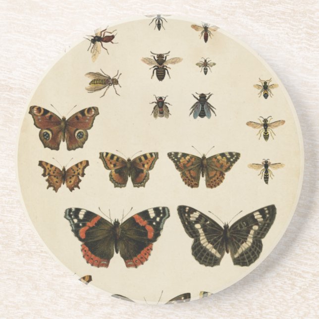 Posavasos Insectos de jardín por Vision Studio (Frente)
