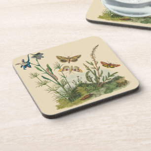 Posavasos Insectos de jardín vintage, mariposas, orugas