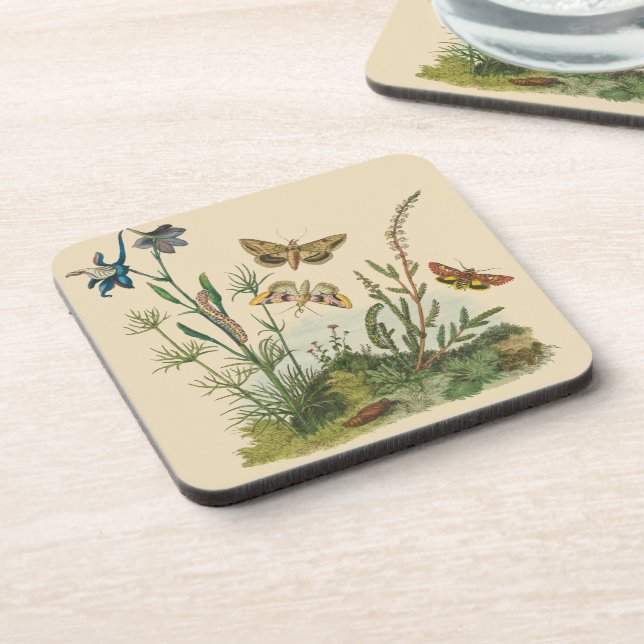 Posavasos Insectos de jardín vintage, mariposas, orugas (Lado Izquierdo)