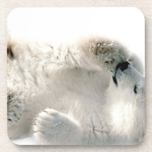 Posavasos Invierno congelado ártico animal lindo de Cub del