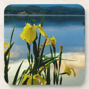 Posavasos Iris amarillo en la orilla del lago