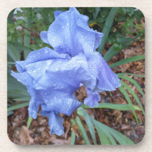 Posavasos Iris azul