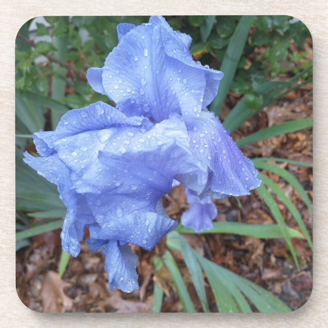 Posavasos Iris azul (Frente)