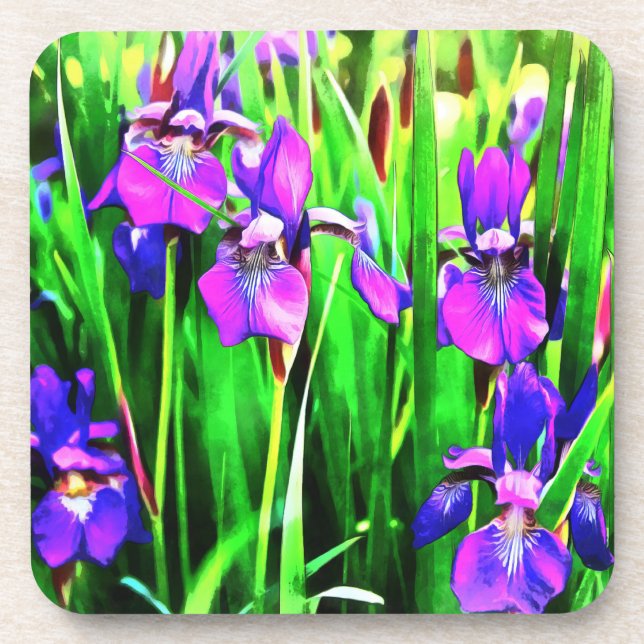Posavasos Iris Coasters (Frente)