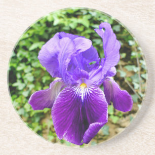 Posavasos Iris con barba