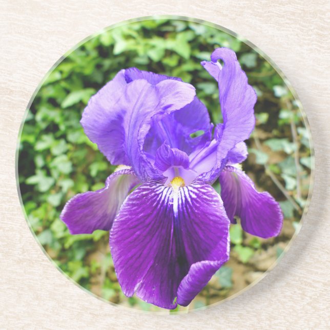 Posavasos Iris con barba (Frente)