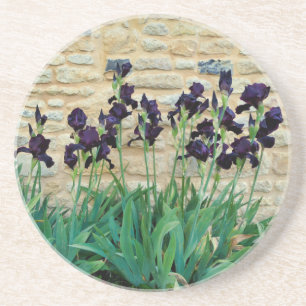 Posavasos Iris con barba
