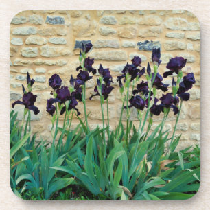 Posavasos Iris con barba