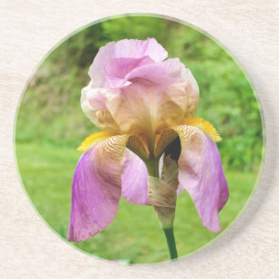 Posavasos Iris con barba