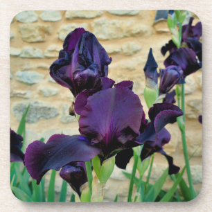 Posavasos Iris con barba