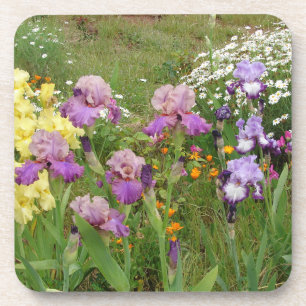 Posavasos Iris irises floral Flores de algodón Aniversario d
