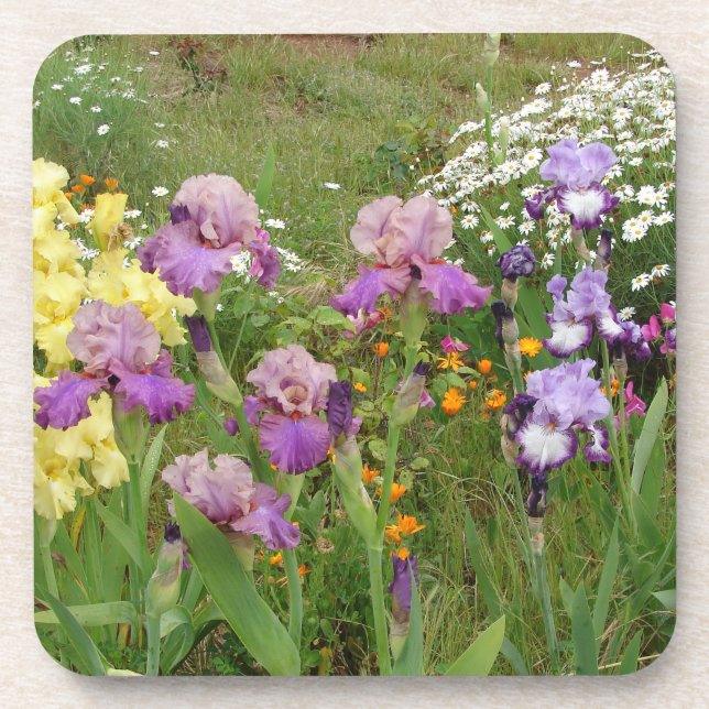 Posavasos Iris irises floral Flores de algodón Aniversario d (Frente)