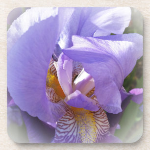 Posavasos iris morado