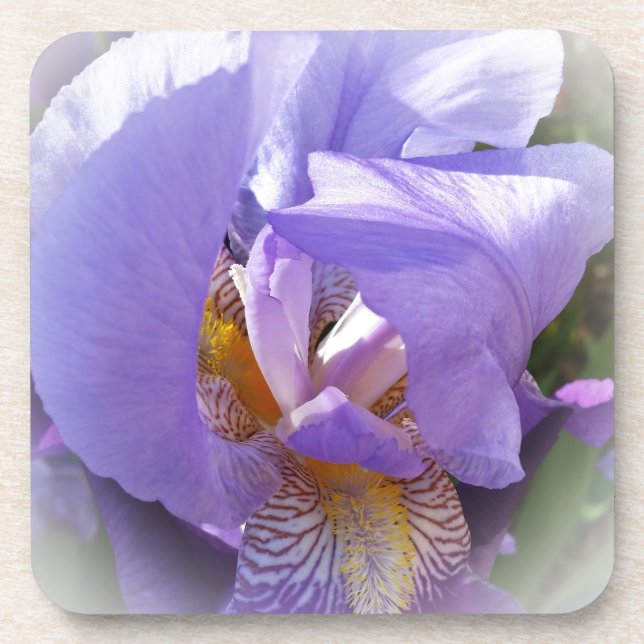 Posavasos iris morado (Frente)