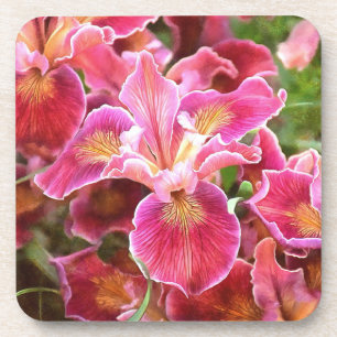Posavasos Iris rosa anaranjado