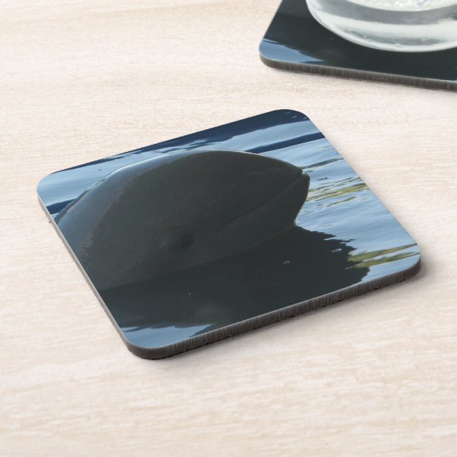Posavasos Irrawaddy Dolphin Peek-A-Boo (Lado Izquierdo)