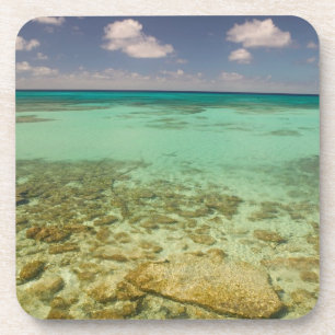 Posavasos Islas Turcas y Caicos, Isla Gran Turca, Cockburn 2