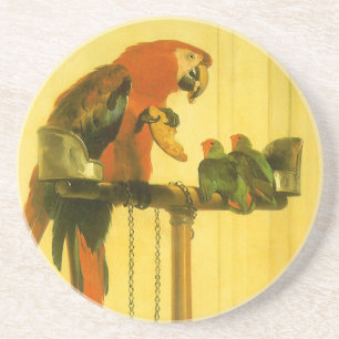 Posavasos Islay, Tilco, una Macaw y pájaros del amor por Lan