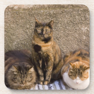 Posavasos Italia, Cinque Terre, Vernazza. Tres gatos