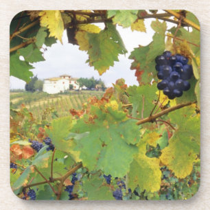 Posavasos Italia, granja de Toscana vista a través de