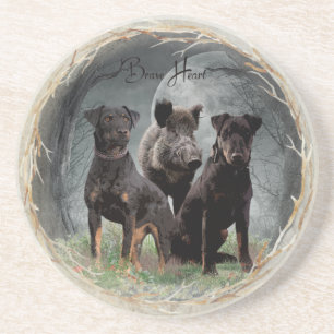 Posavasos Jagdterrier, corazón valiente
