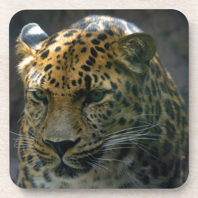 Posavasos Jaguar (Frente)