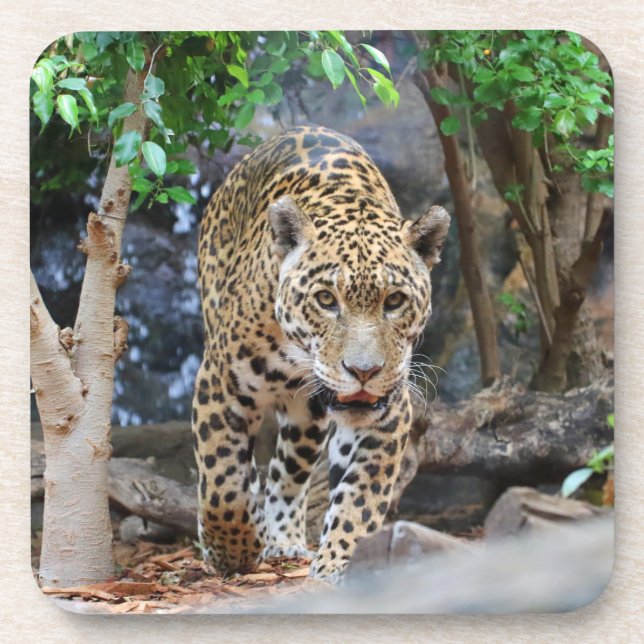 Posavasos Jaguar20150501 (Frente)