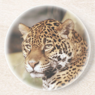 Posavasos Jaguar Coaster