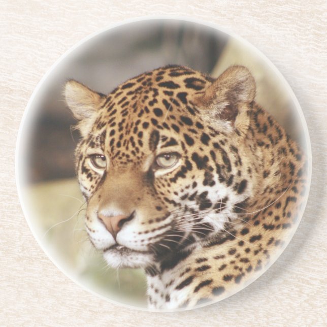 Posavasos Jaguar Coaster (Frente)