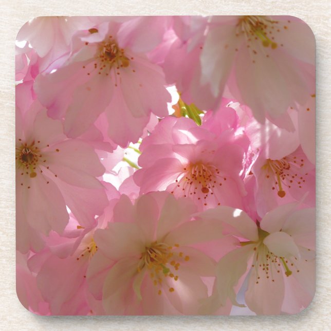 Posavasos Japanese Cherry Blossom (Frente)