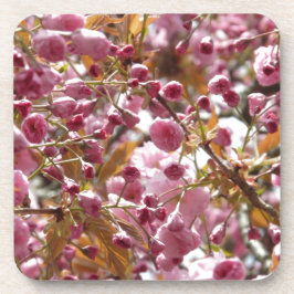 Posavasos Japanese Cherry Trees