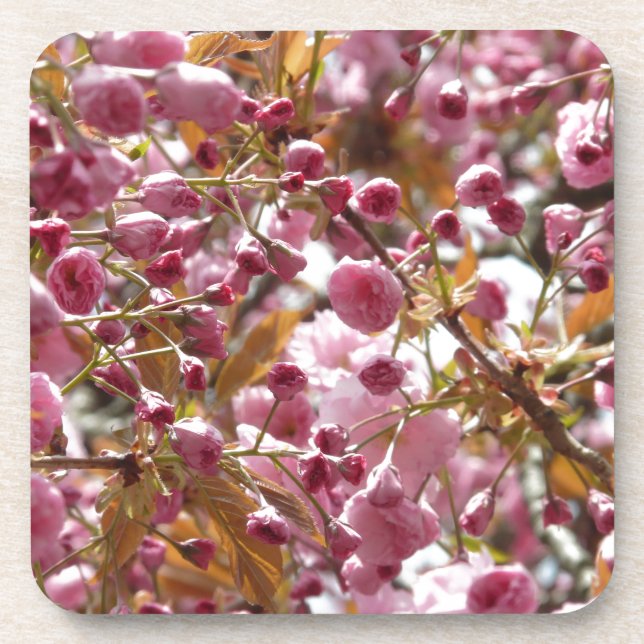 Posavasos Japanese Cherry Trees (Frente)