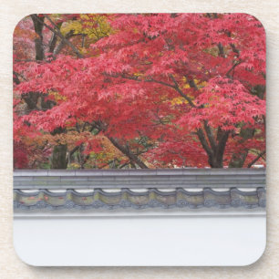 Posavasos Japón, Kioto, color de otoño en el templo Eikand