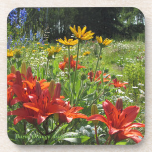 Posavasos Jardín asiático anaranjado quemado del verano de