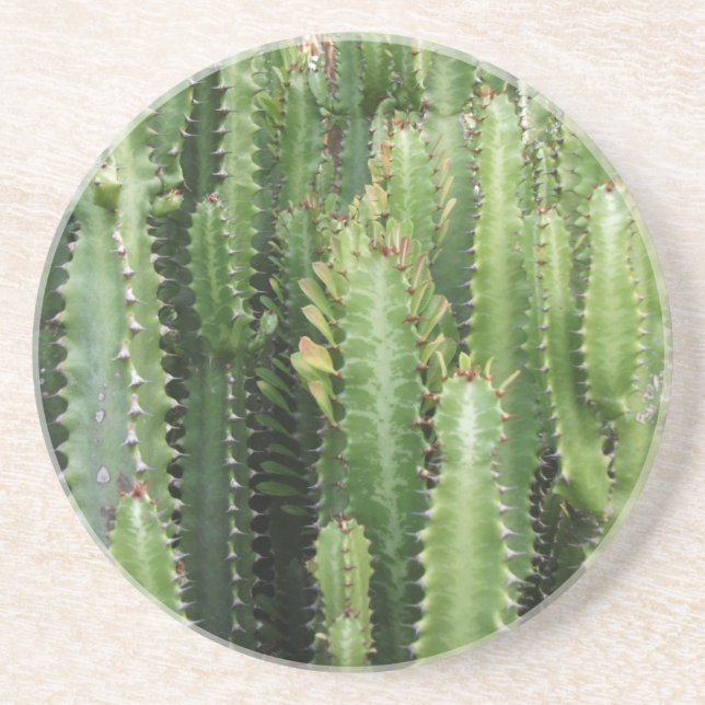 Posavasos Jardín de Cactus (Frente)