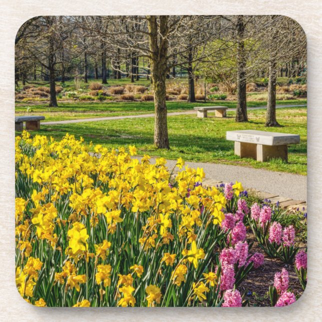 Posavasos Jardín de flores de la temporada de primavera (Frente)