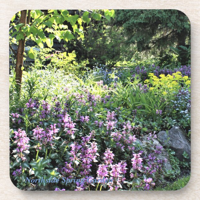 Posavasos Jardín de la primavera de Northside (Frente)