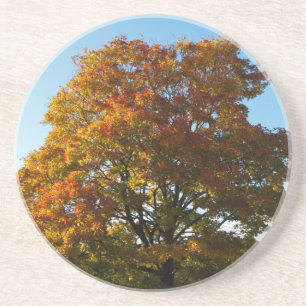 Posavasos Jardín de otoño, montaña rusa en San Petersburgo