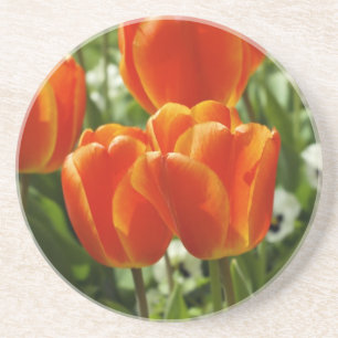 Posavasos Jardín de Tulipanes de Primavera