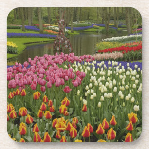 Posavasos Jardín de tulipanes y jacintos, Jardines Keukenhof