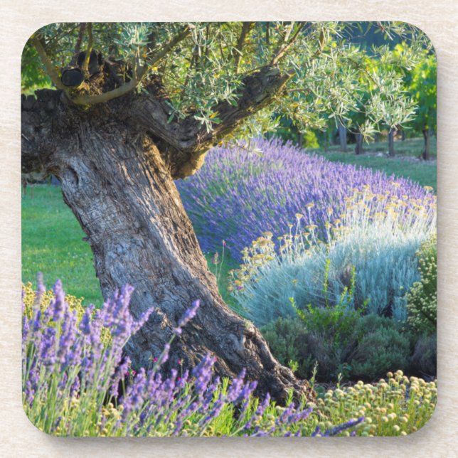 Posavasos Jardín escénico con flores, Francia (Frente)