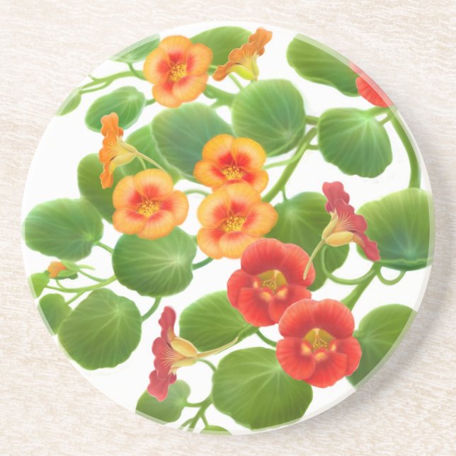Posavasos Jardín Nasturtium florece tu montaña (Frente)