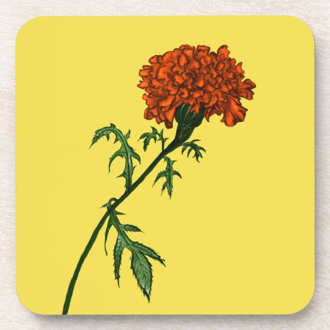 Posavasos Jardinero de la planta de flores Marigold de Franc (Frente)