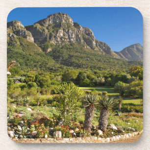 Posavasos Jardines botánicos de Kirstenbosch, Ciudad del Cab