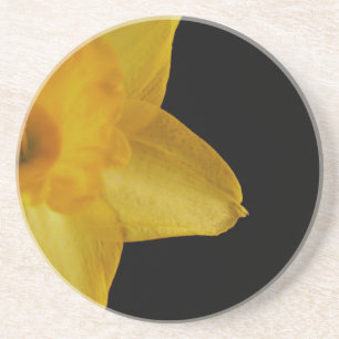 Posavasos Jarrón de piedra arenisca con narciso amarillo