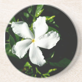 Posavasos Jazmín de la rueda blanca a la luz del sol