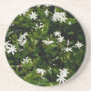 Posavasos Jazmín Flores Tropicales Florales Botánicas